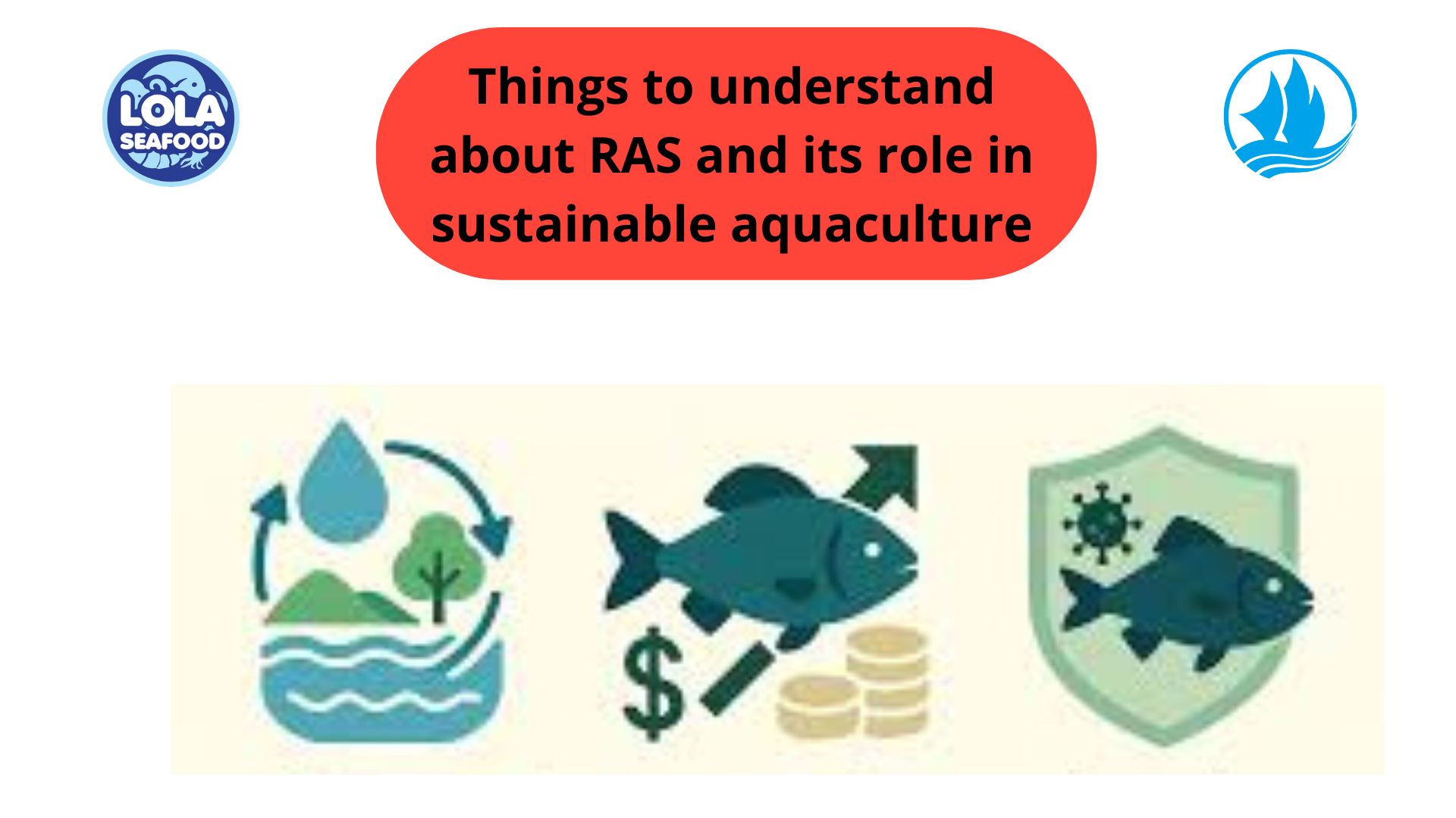 Things to understand about RAS and its role in sustainable aquaculture